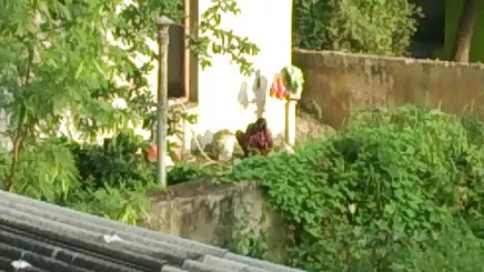 Ngọt ngào đóng nhỏ xíu khó khăn chết tiệt 22-038 phim sét 18