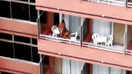 Châu á chó phim sét thuyết minh nhận gái của tôi